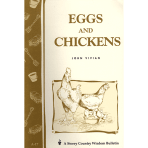 eggs-and-chickens-square